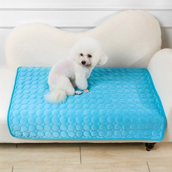 Tapis rafraîchissant chien - Excursion Chien
