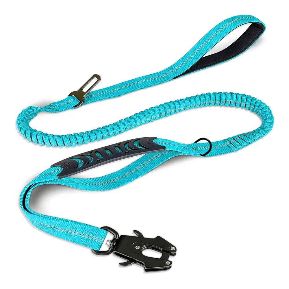 laisse pour chien | Robuste - Excursion Chien
