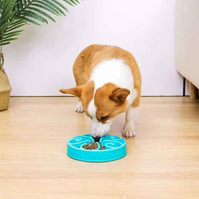 Gamelle Anti-Glouton Chien : Meilleure Digestion - Excursion Chien