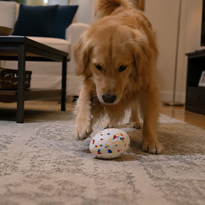 balle en caoutchouc pour chien en forme d'œuf qui stimule l'intelligence de l'animal
