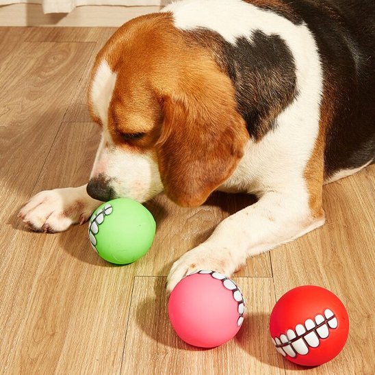Balle pour chien indestructible Kong non toxique