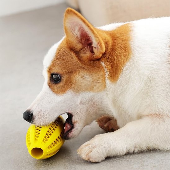 Balle pour chien qui Nettoie naturellement les dents et réduit la formation de tartre lors de la mastication