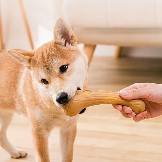 Bâton pour chien | Ultra-Résistant - Excursion Chien