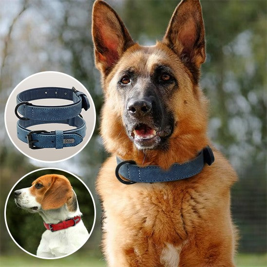 collier chien | Moudoux