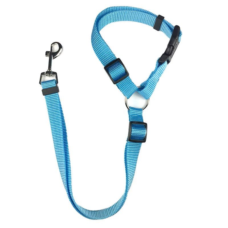 Laisse de sécurité réglable pour chien - Excursion Chien