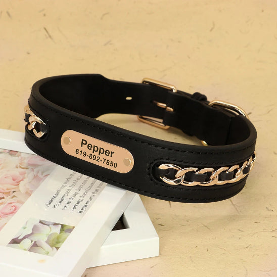 collier chien cuir noir gravé élégant et confortable