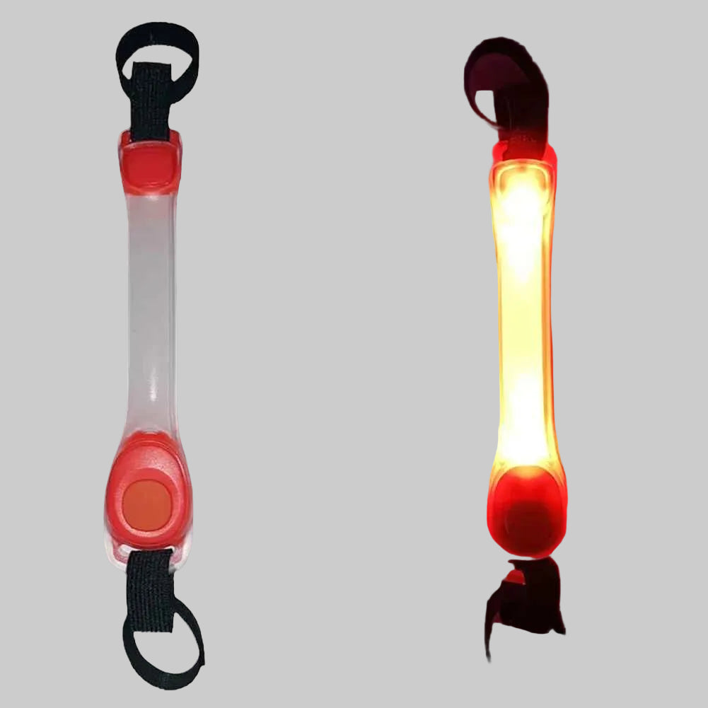 collier chien fluorescent rouge