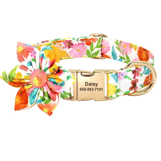 collier chien personnalise ajustable au cou de votre animal de compagnie