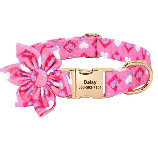 collier chien personnalise avec boucle doree