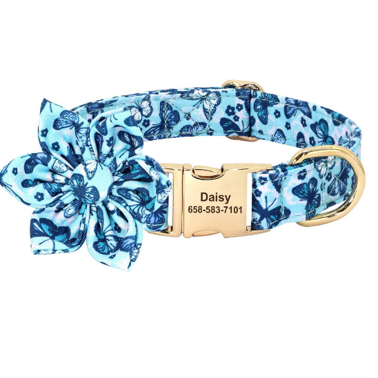 collier chien personnalise avec le nom de votre animal a quatre pattes bien visible