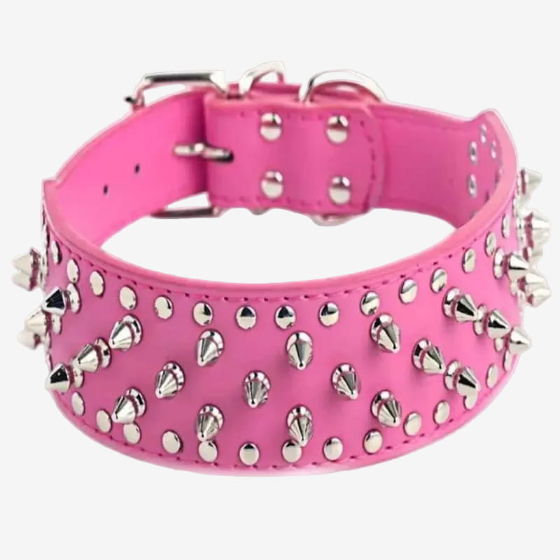 Collier Chien | Ultra-Résistant Clous - Excursion Chien