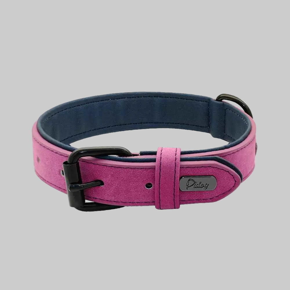 Collier Confortable Pour Chien | Cuir Rembourré - Excursion Chien