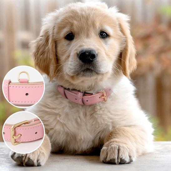collier cuir chien confortable rose