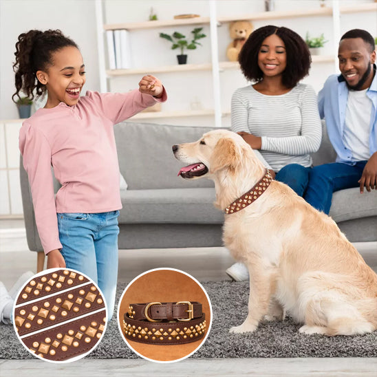 Collier cuir Chien marron