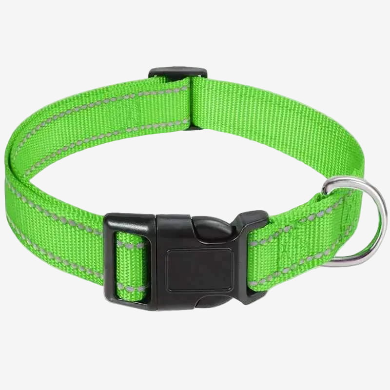 Collier en Nylon Pour Chien | Réfléchissant - Excursion Chien