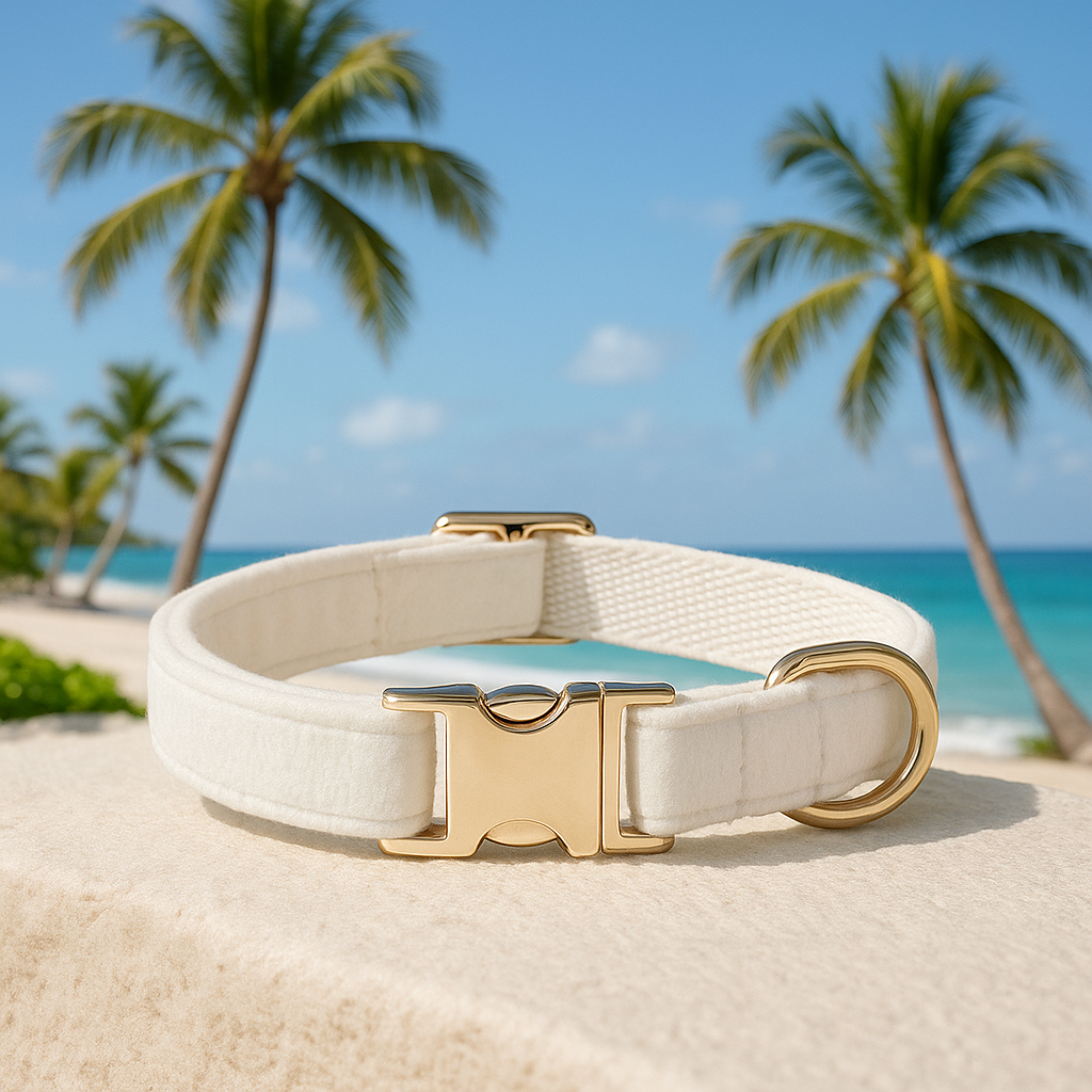 collier pour chien personnalisé en velours blanc et réglable