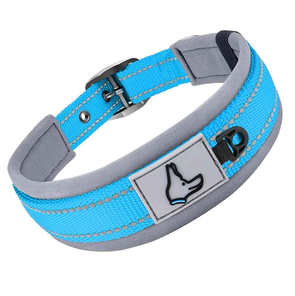 Collier Réfléchissant Pour Chien | Nuit Secure - Excursion Chien