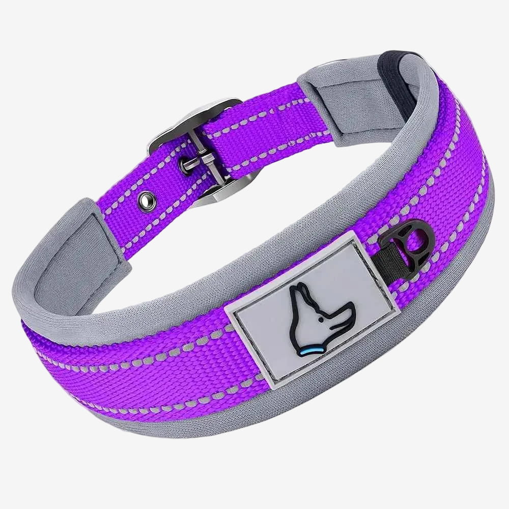 Collier Réfléchissant Pour Chien | Nuit Secure - Excursion Chien