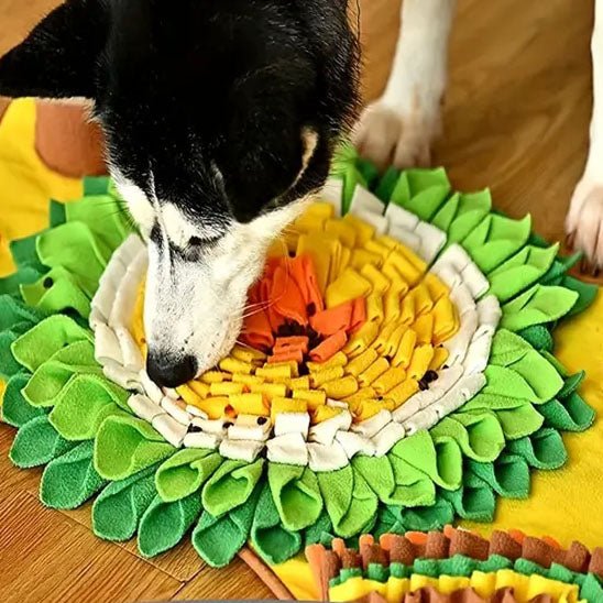 Dépense mentale Chien | Snuffle Pro - Excursion Chien