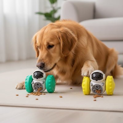 Distributeur friandise chien | Stimulant - Excursion Chien