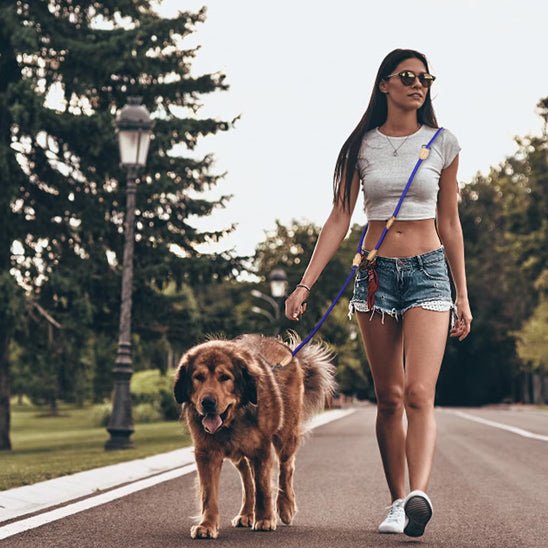 Double Laisse pour Chien | Anti-Emmêlement - Excursion Chien