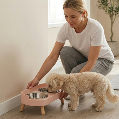gamelles surélevées pour chiens avec pieds en bois naturel qui s'adape au style de votre intérieur