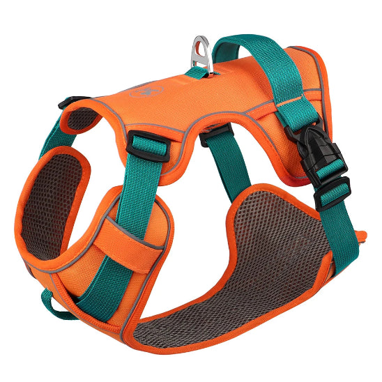 harnais chien pas cher anti traction orange