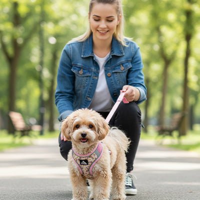 Harnais Chien petite taille | Respirant Sécurisé - Excursion Chien