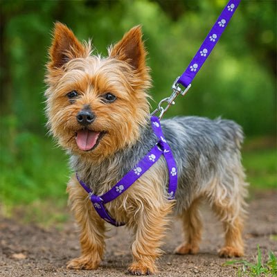 Harnais en Y Chien | Confort Optimal - Excursion Chien