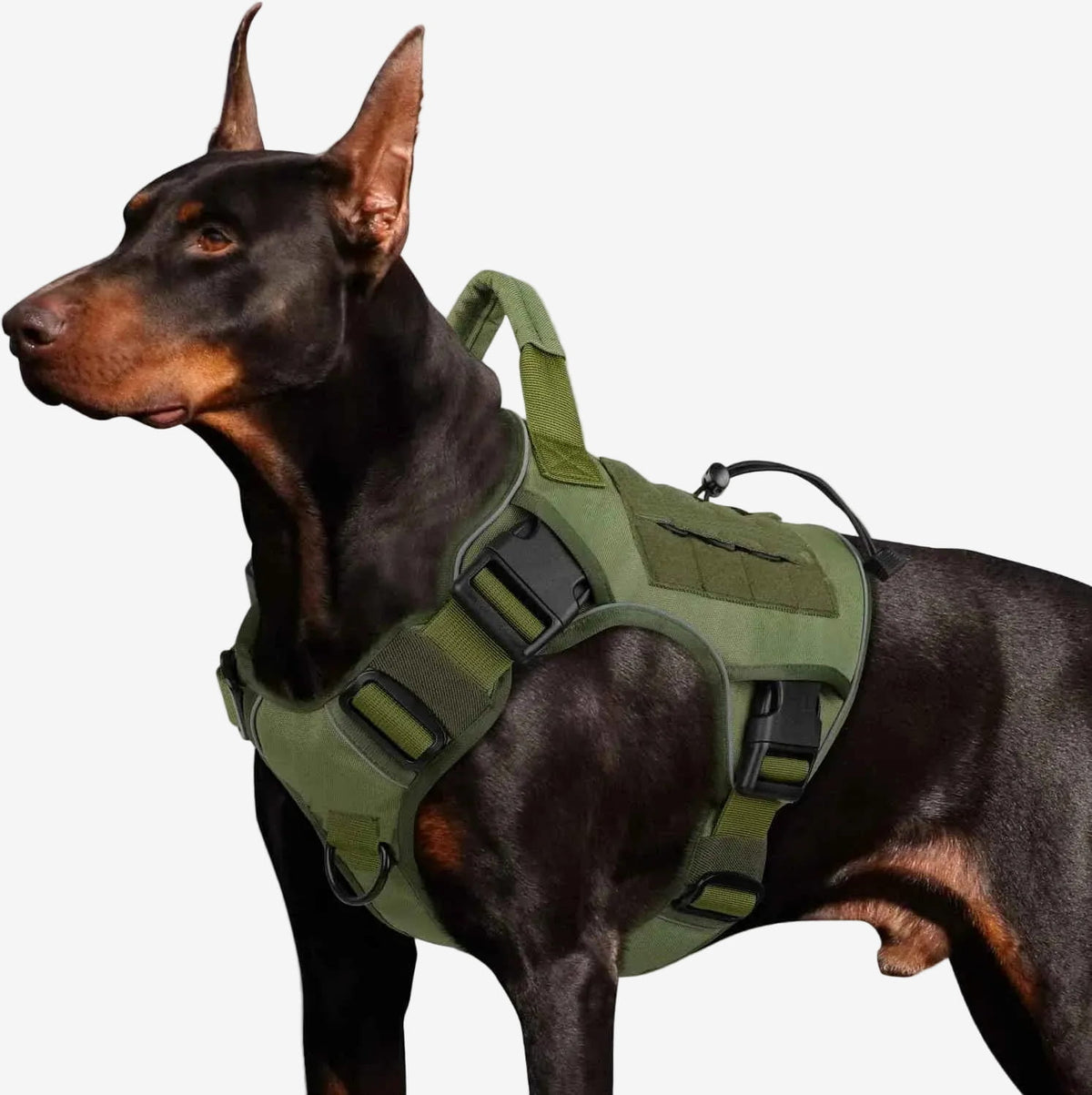 Harnais Pour Chien qui Tire | Anti-Traction Confort - Excursion Chien
