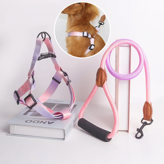 harnais pour chiens élégant