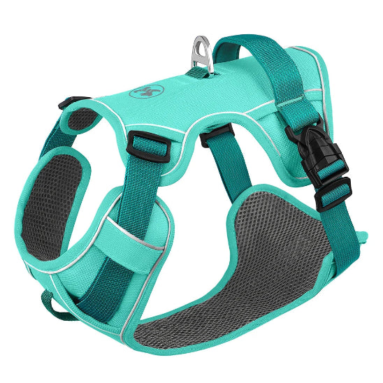 harnais-chien-pas-cher-anti-traction-vert