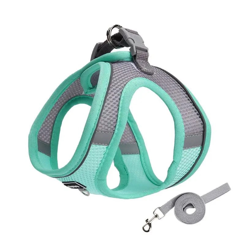 harnais chihuahua chiot anti traction