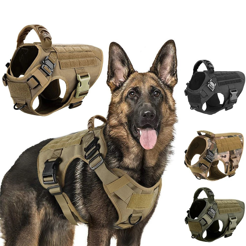 harnais de dressage chien robuste et ergonomique