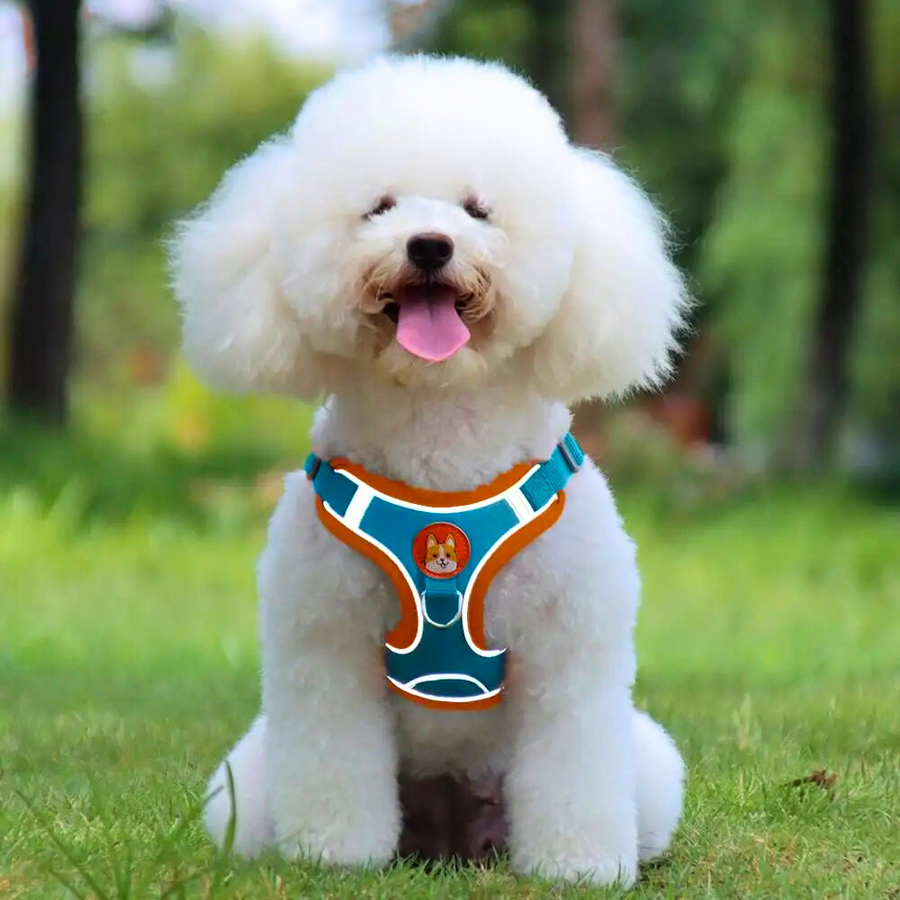 harnais pour chiots avec bandes réfléchissantes