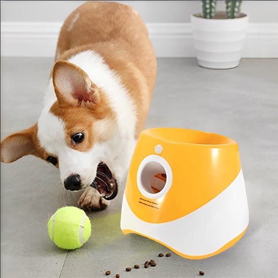 Lanceur balle automatique pour chien | Stimul'Play - Excursion Chien