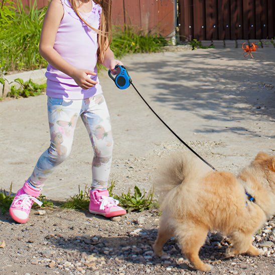 Laisse Enrouleur pour Gros Chien 5m – Câble Nylon Renforcé - Excursion Chien