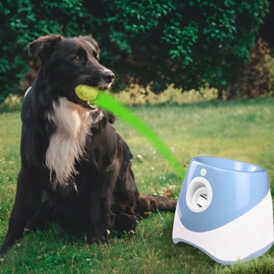 Lanceur balle automatique pour chien | Stimul'Play - Excursion Chien