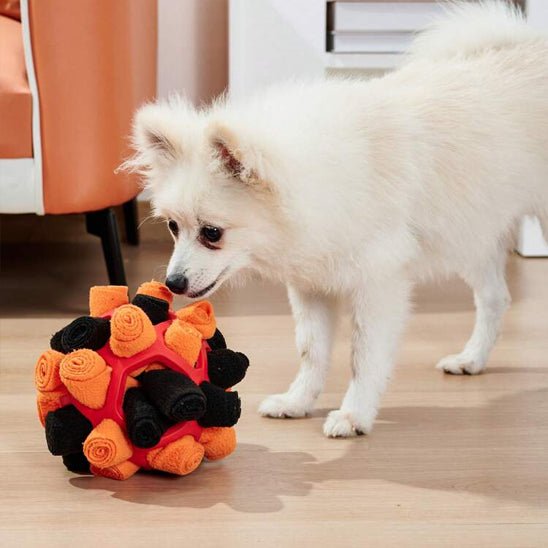 jeu de fouille chien | Stimulation Intelligente - Excursion Chien