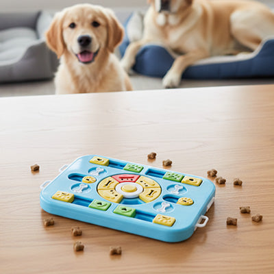 jeu de reflexion chien idéal pour tous les moments