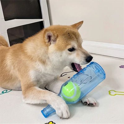 Jouet Bouteille Pour Chien | TPR - Excursion Chien
