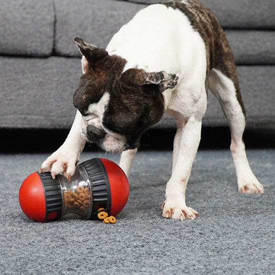 jouet casse tete pour chien qui transforme les repas en moments magiques