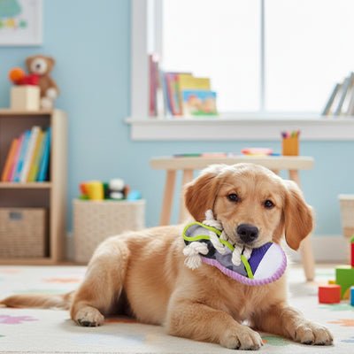 Jouet Chaussure Pour Chien | Couineur Interactif - Excursion Chien