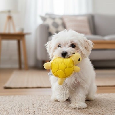 jouet chiot | Peluche Tortue Apaisante - Excursion Chien