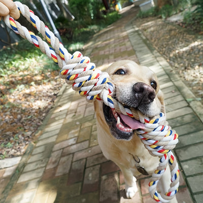 jouet corde pour chien resitant
