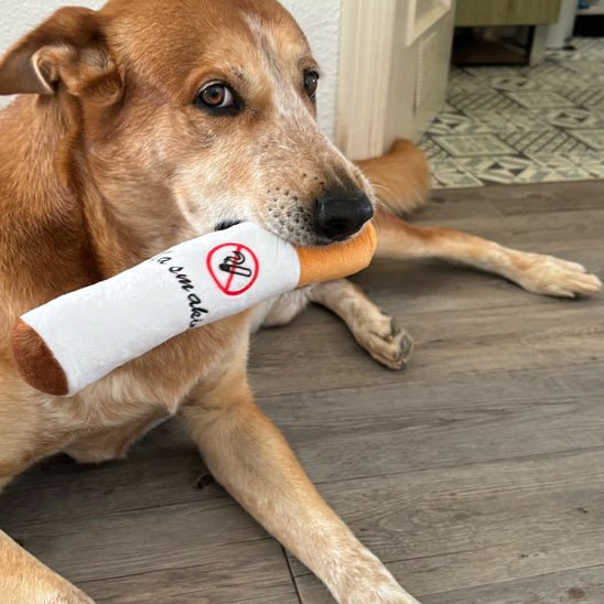 Jouet d'éveil Pour Chien | Résistant avec couineur - Excursion Chien