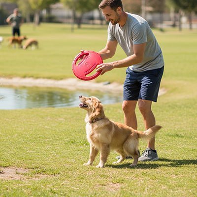 jouet exterieur pour chien | Frisbee Souple Flottant - Excursion Chien