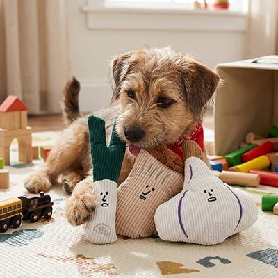 Jouet pour dents chiot | Résistant et couineur - Excursion Chien