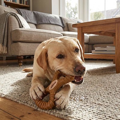 Jouet résistant pour chien | Caoutchouc naturel - Excursion Chien
