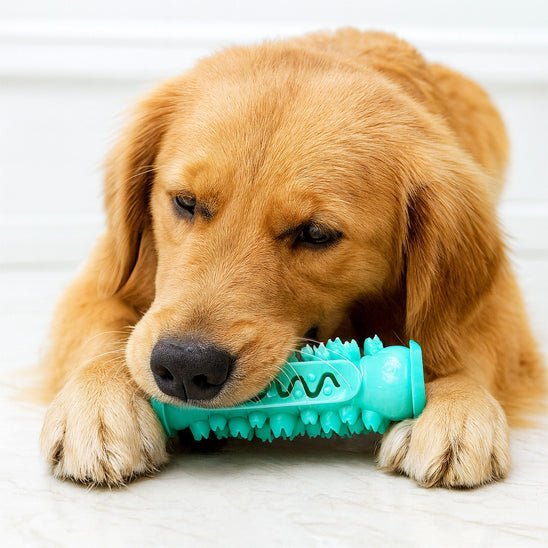 Jouets pour chiots 3 mois | Douceur Dentaire - Excursion Chien